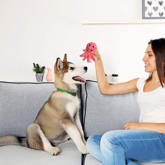 Squeaky Plush Dog Toy Pack for Puppy, Small Stuffed Puppy Chew Toys 12 Dog Toys - Picture 7 of 9